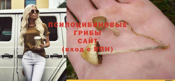 крисы Наволоки