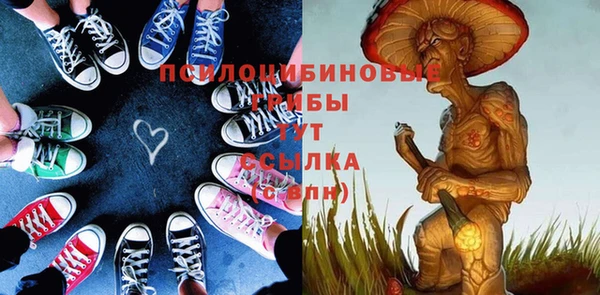 крисы Наволоки