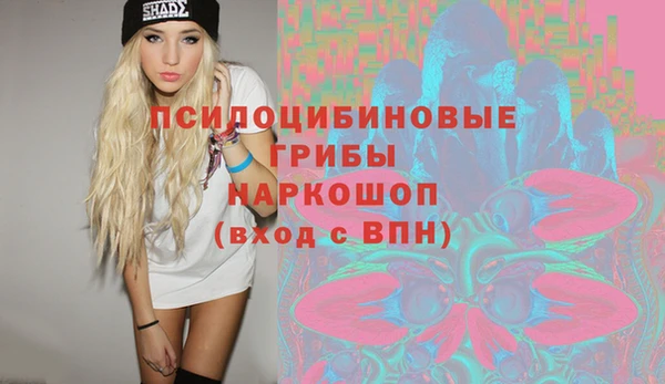 трава Надым