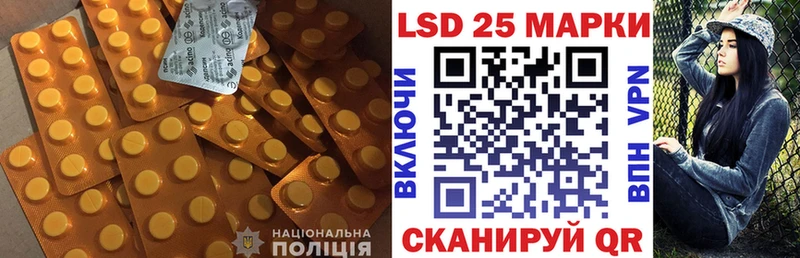 продажа наркотиков  Киселёвск  kraken как войти  ЛСД экстази кислота 