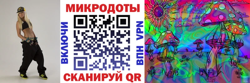 цена наркотик  Киселёвск  блэк спрут зеркало  Галлюциногенные грибы Psilocybine cubensis 